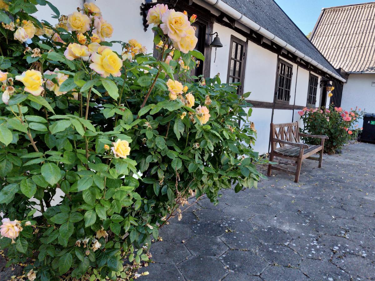 Dastrup Bed & Breakfast Viby Exterior foto